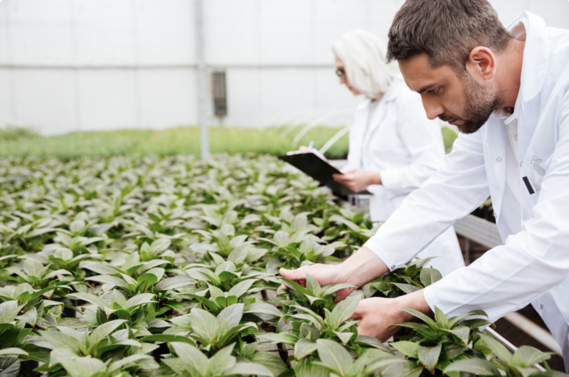 Ukrainian AgroTech Hub: Where Necessity Drives Innovation