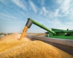 Agriculture