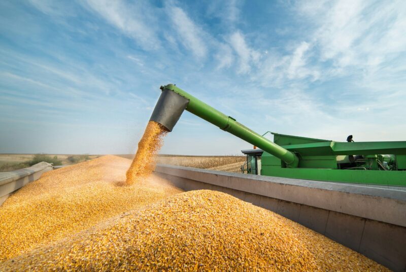 Ukraine’s Agri-Food Sector: Investment Prospects Amid Recovery and EU Integration