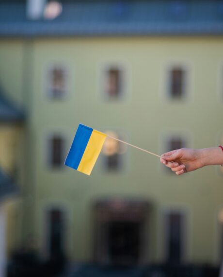 Donor-Funded Services